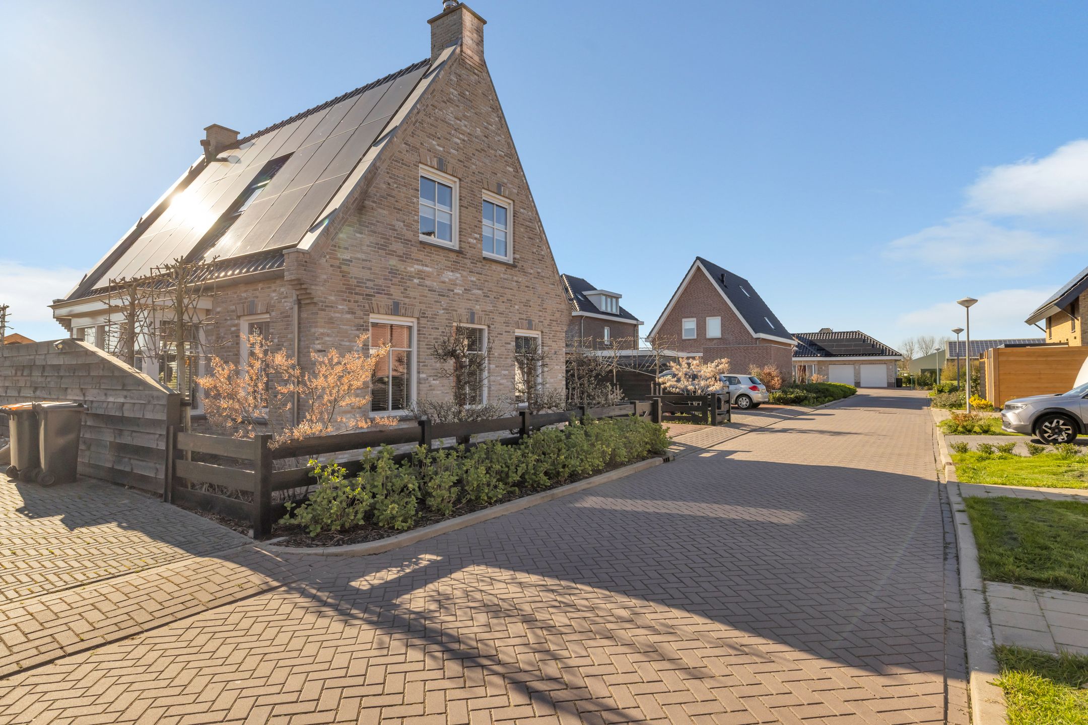 Foto 6 van Boterbloem 2