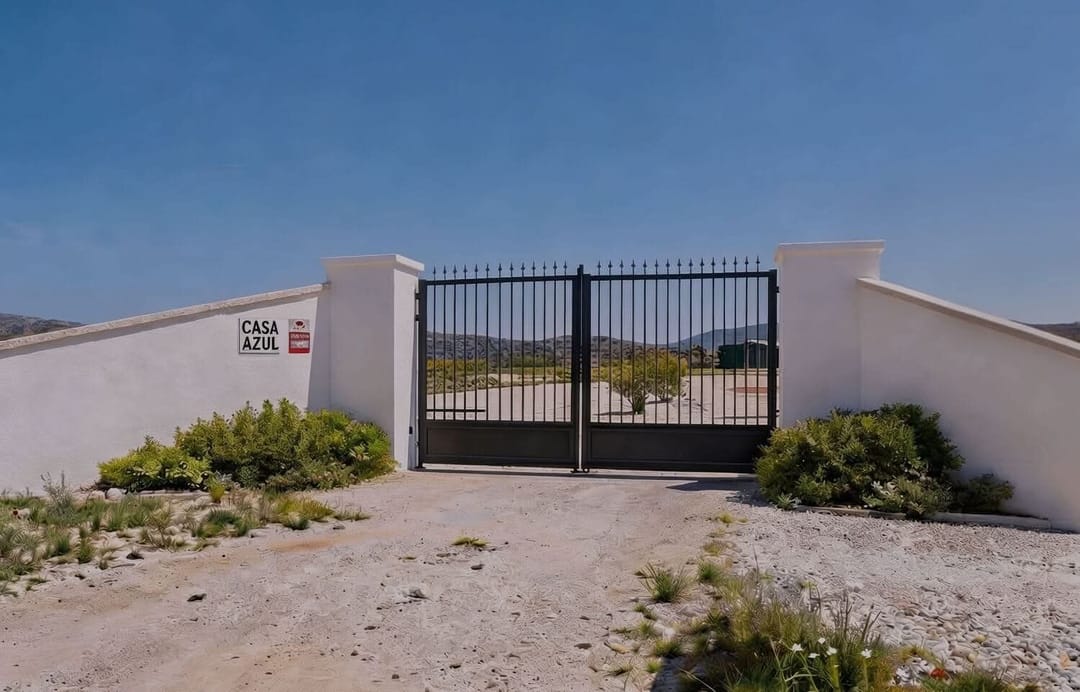 Foto 7 van Oliva Relleu CPO702