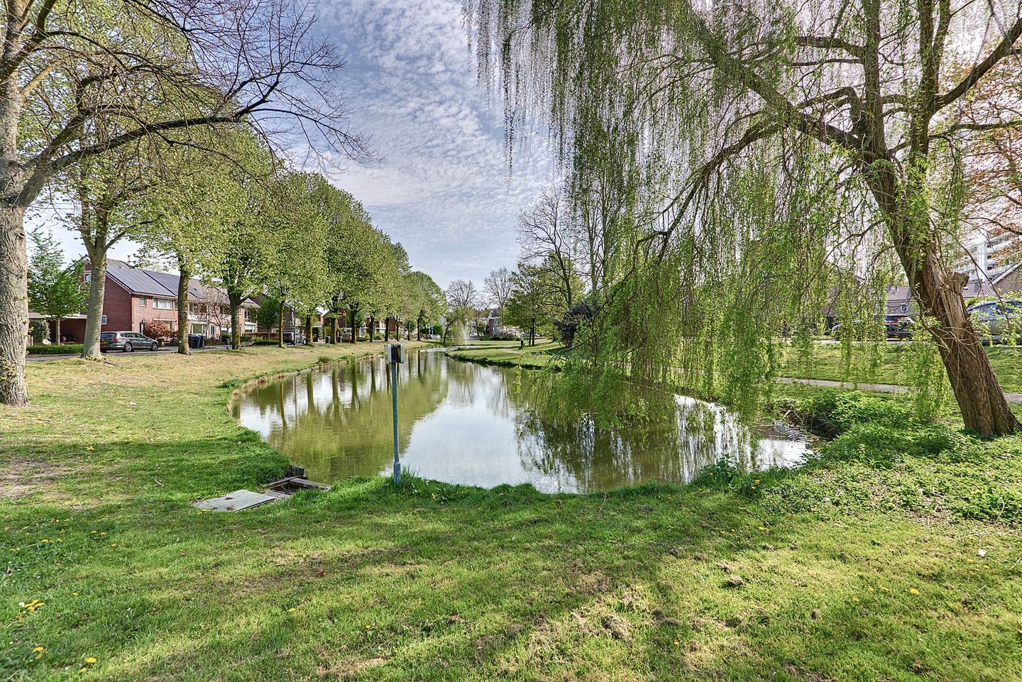 Foto 44 van De Wittenhagen 59-A