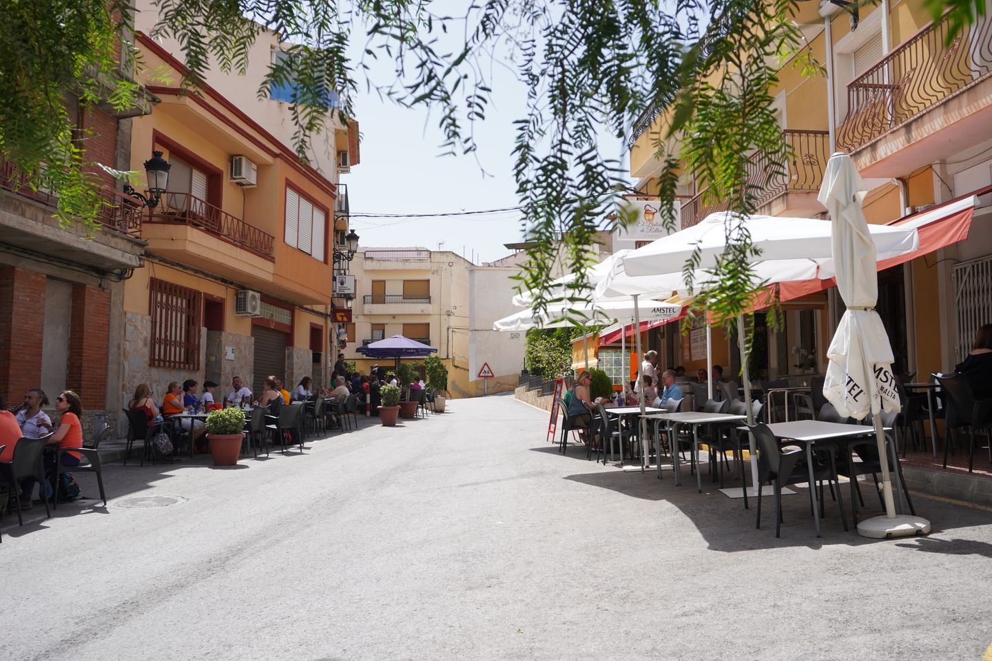 Foto 14 van Oliva Relleu CPO702