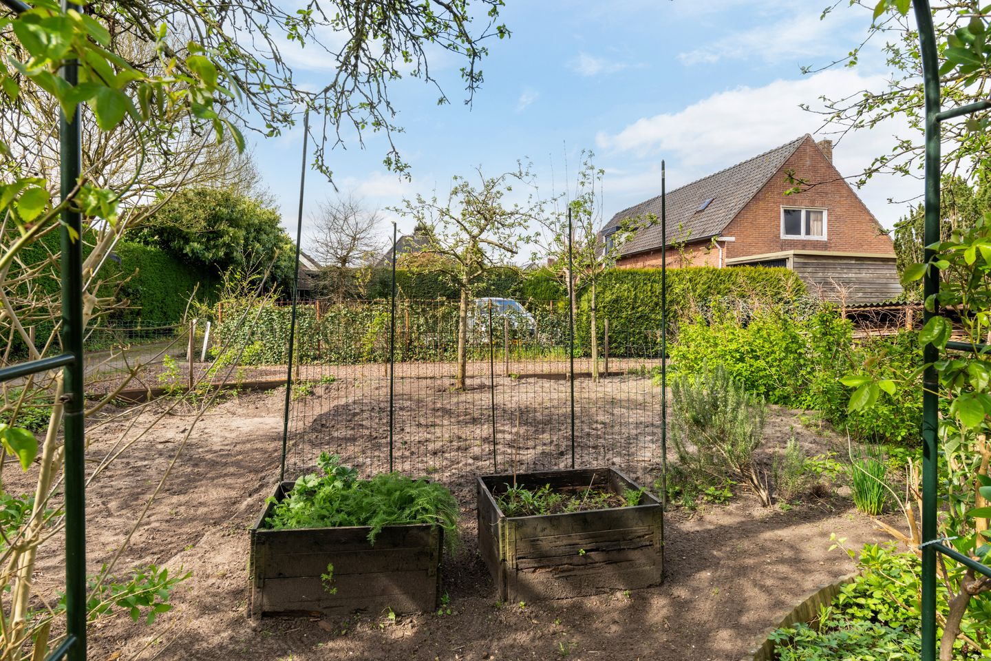 Photo 40 of Ceintuurbaan 12-A