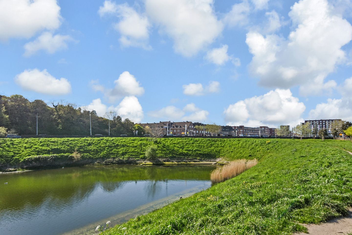 Foto 34 van Ripperdastraat 22