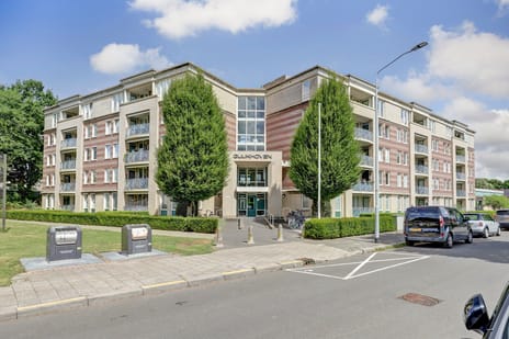 undefined main image