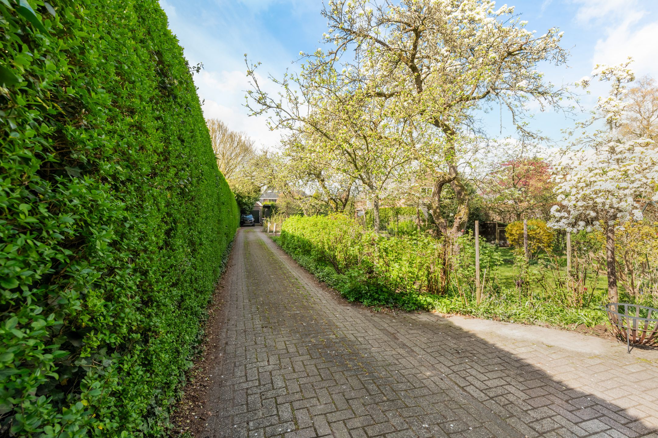 Photo 54 of Ceintuurbaan 12-A