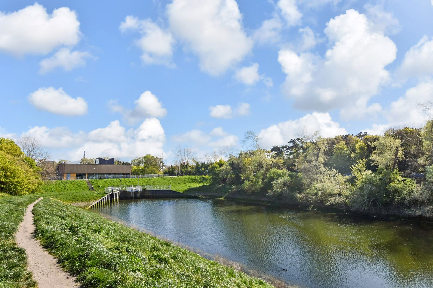 Foto 35 van Ripperdastraat 22