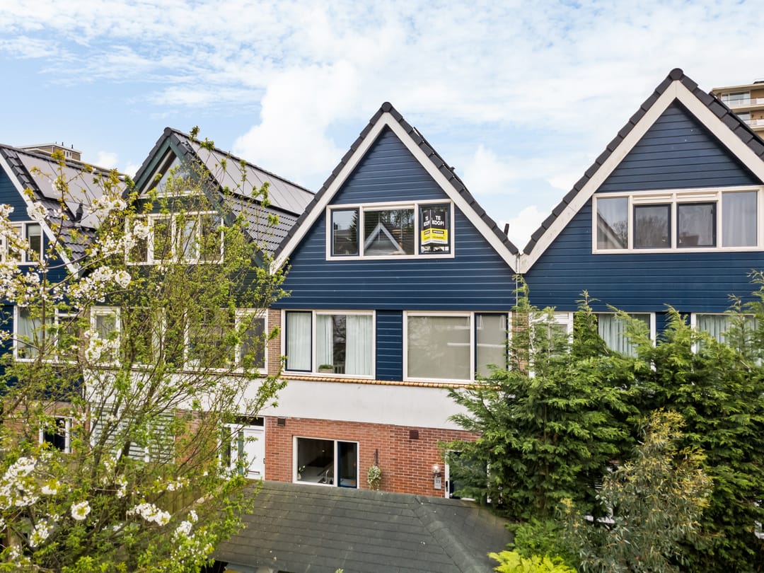 Foto 7 van Pieter de Hoochstraat 33