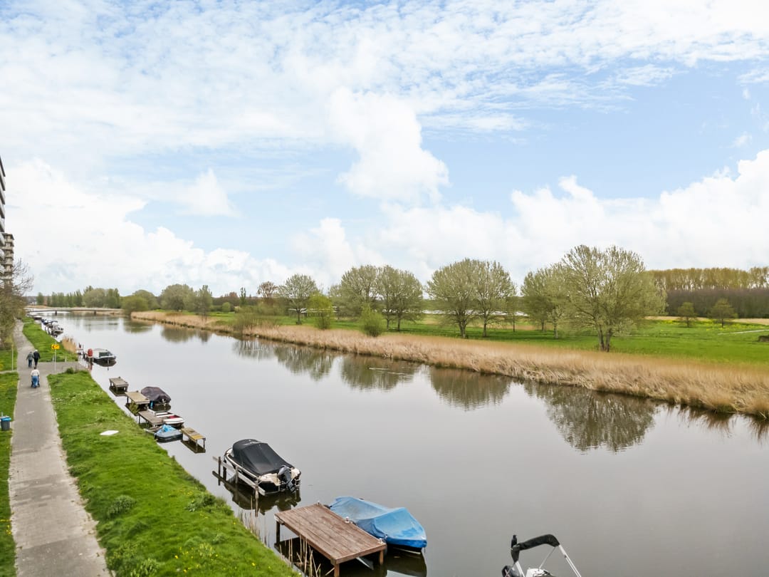 Foto 52 van Pieter de Hoochstraat 33