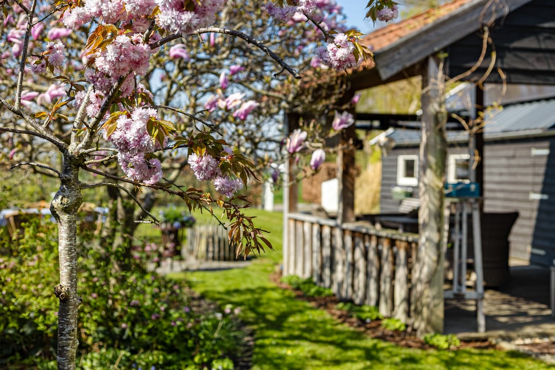 Foto 38 van Molenkade 15