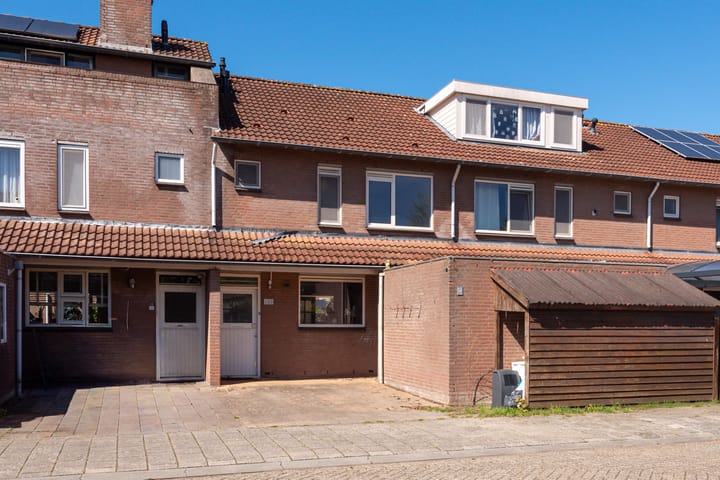 Foto 2 van Galjoen 13 23