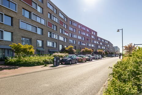 Verlengde Lodewijkstraat thumbnail