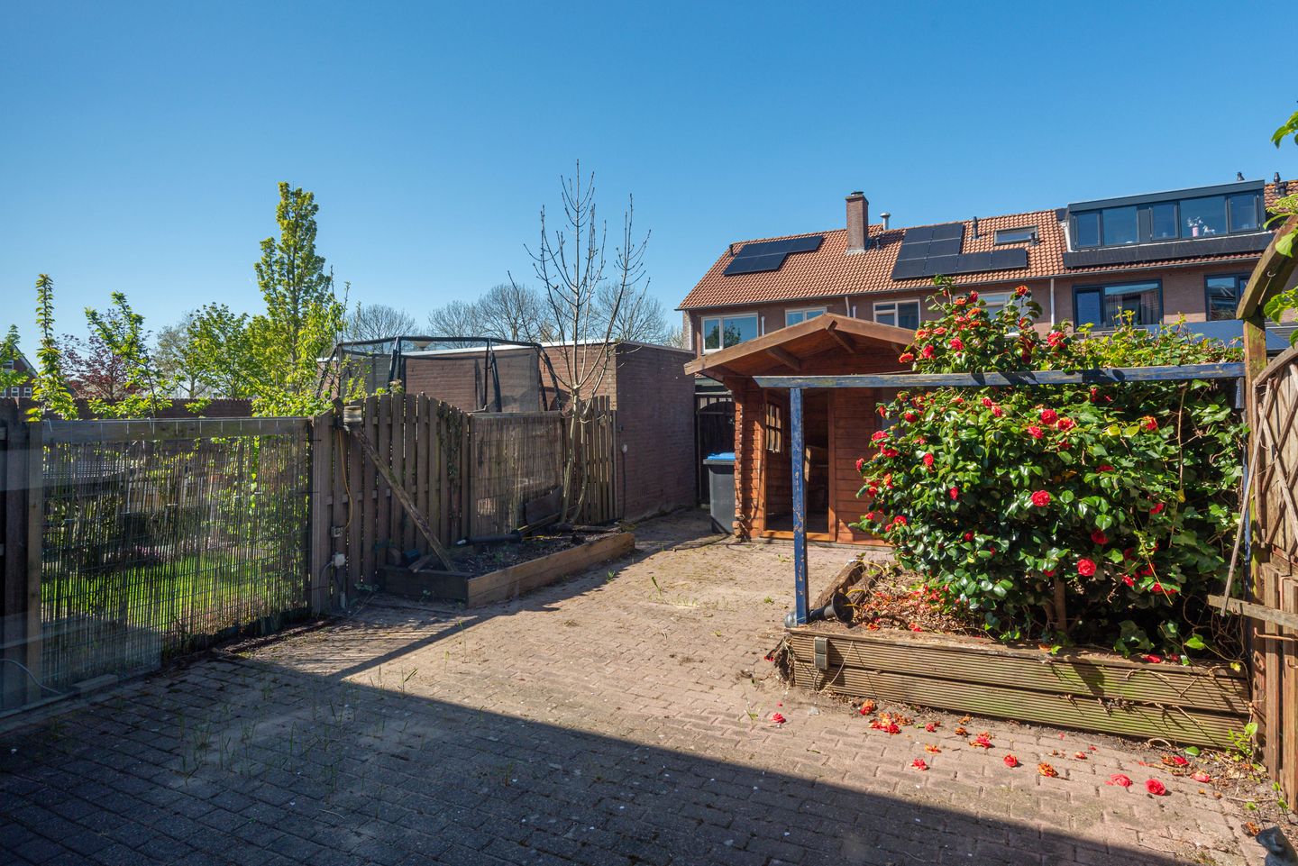 Photo 40 of Galjoen 13 23