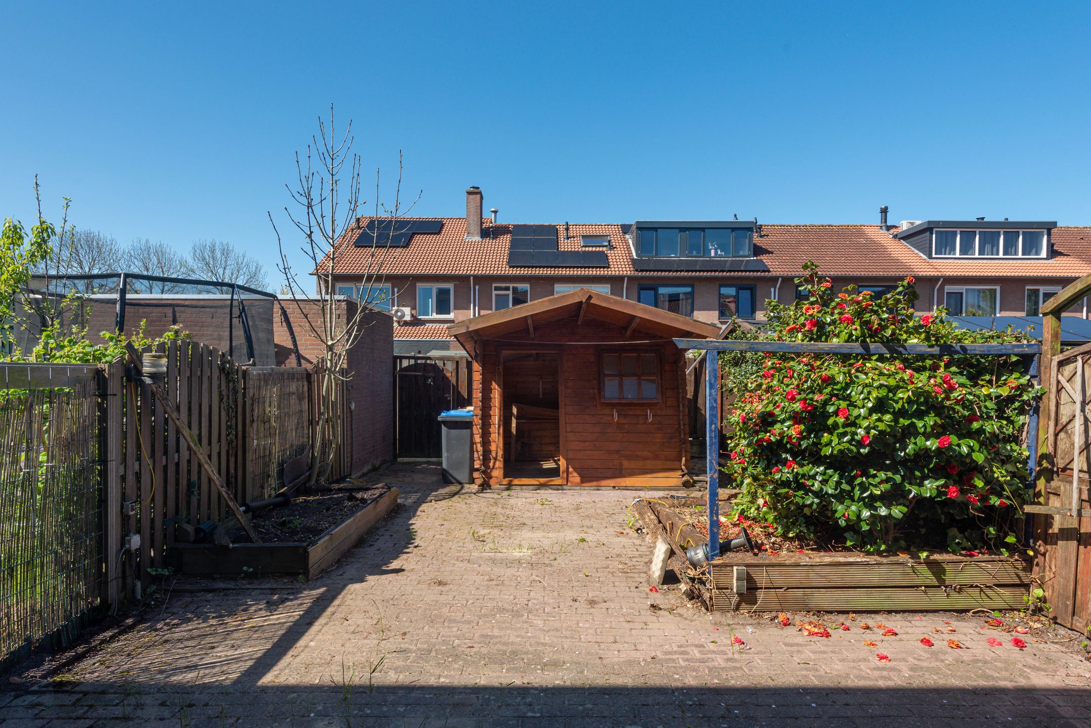 Photo 39 of Galjoen 13 23