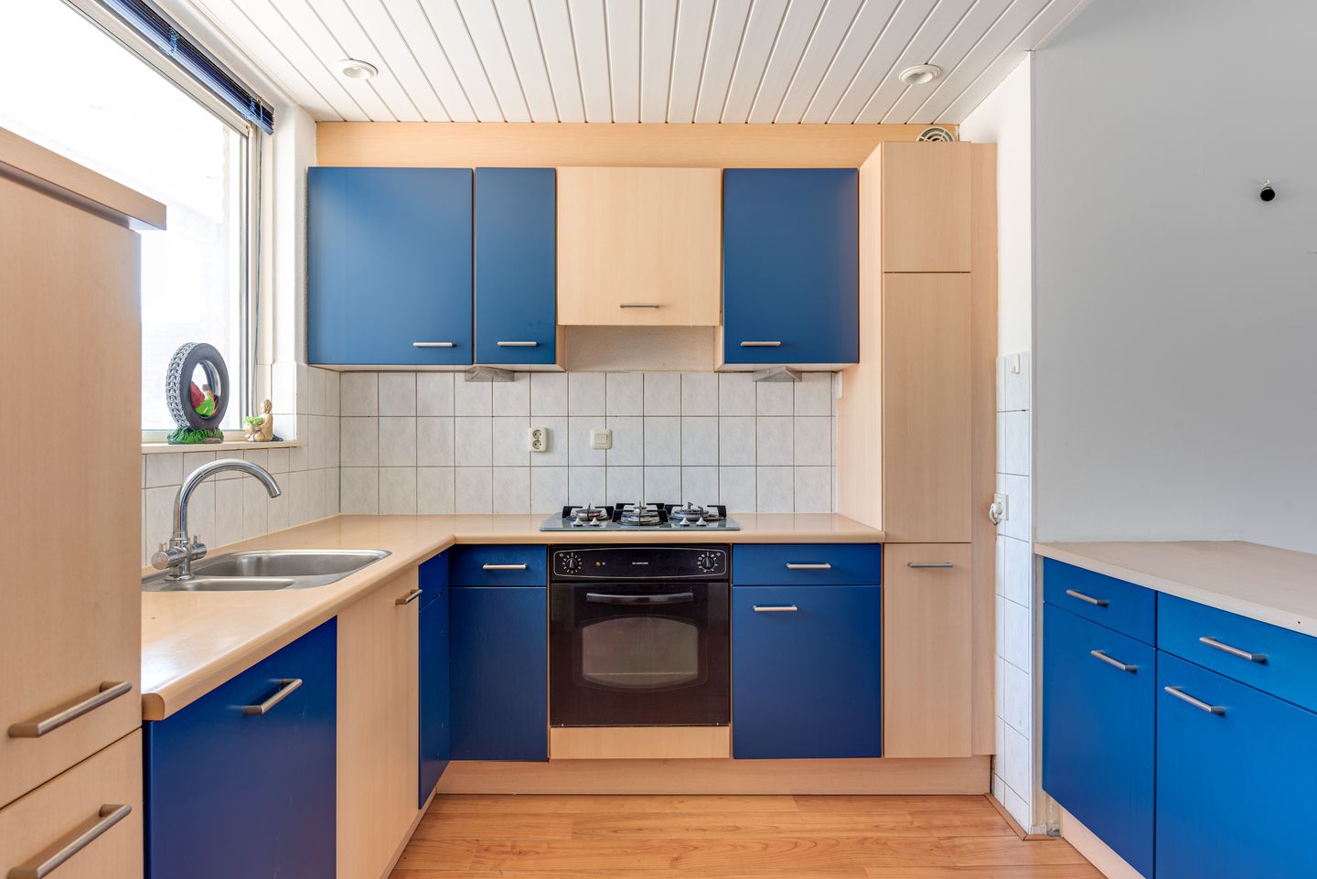 Photo 19 of Galjoen 13 23