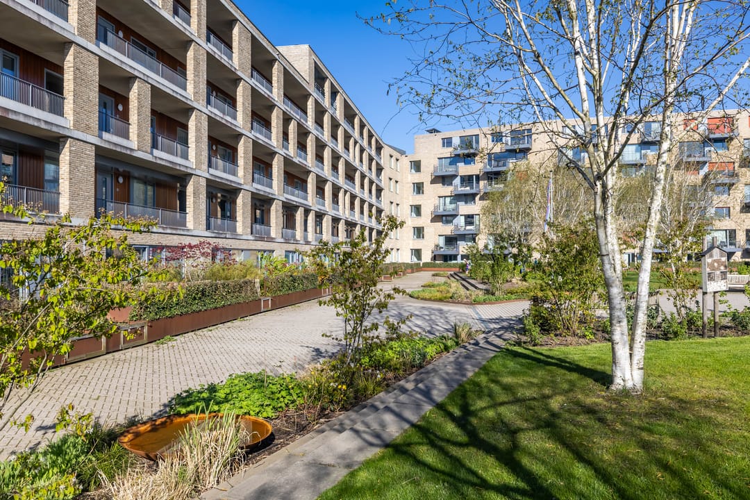 Photo 46 of Verlengde Lodewijkstraat 102