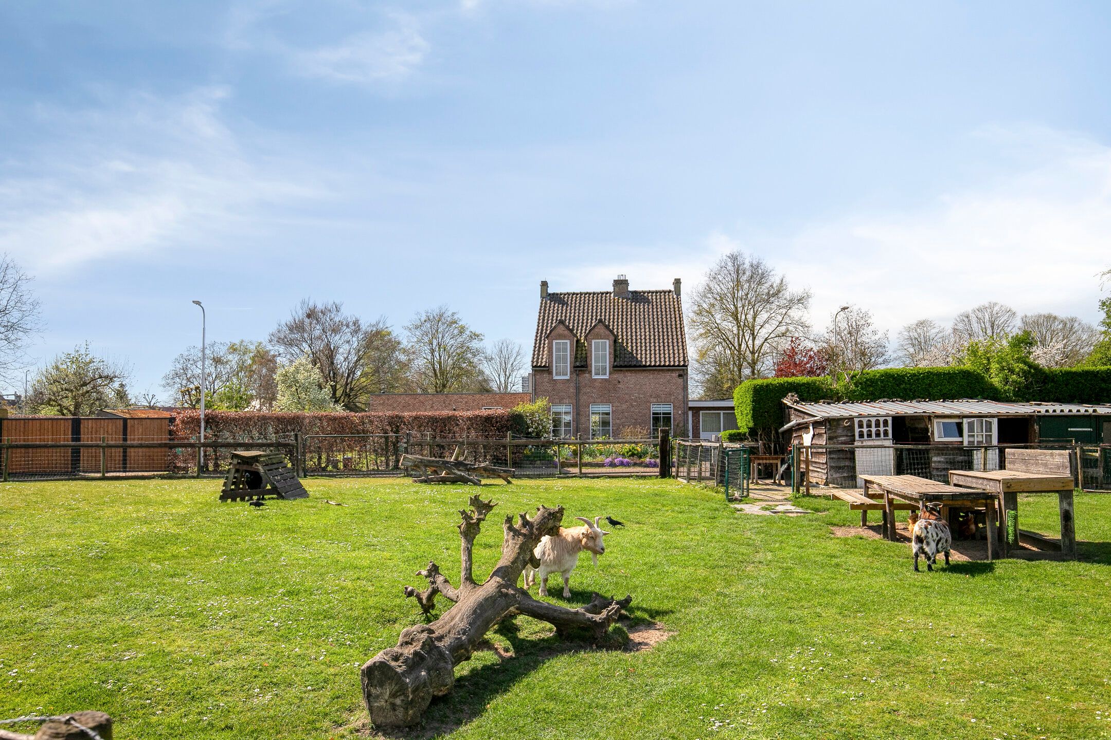 Foto 48 van Bokhamerstraat 9