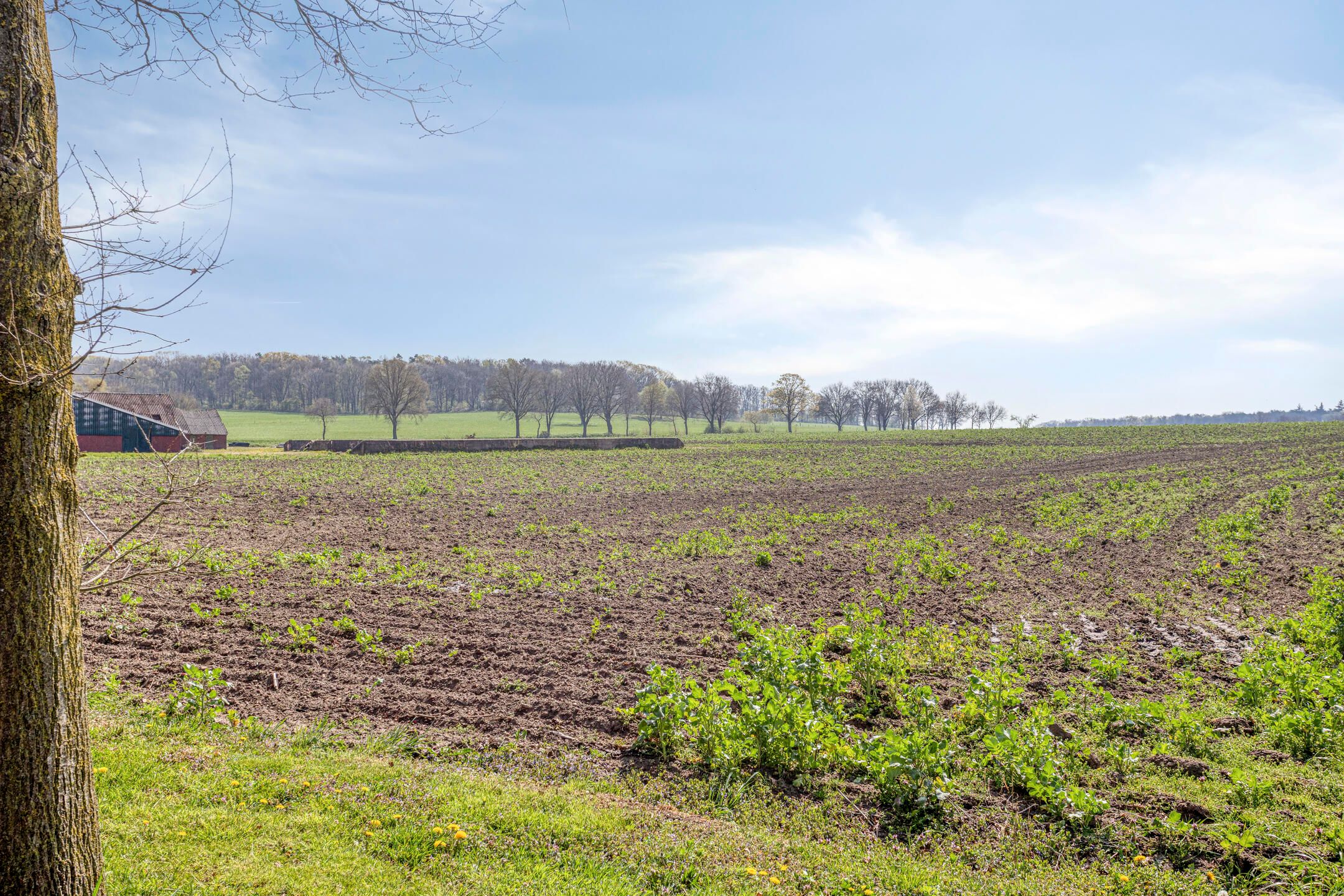 Foto 42 van Traasweg 5-C12