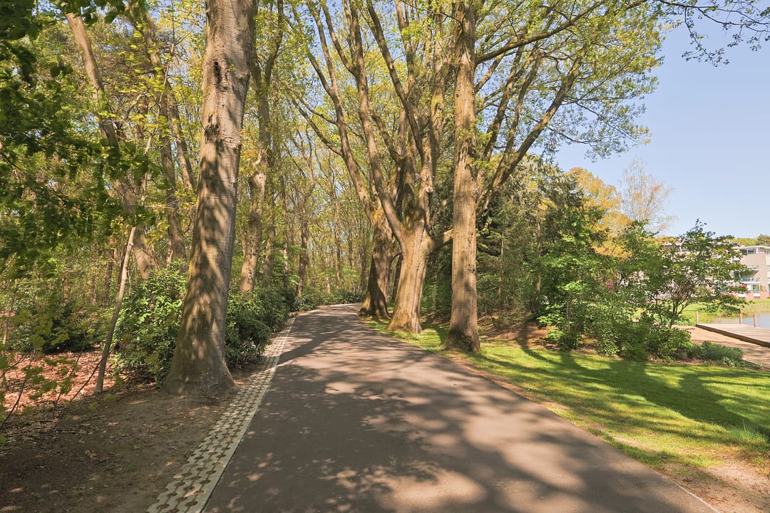 Photo 47 of Molenwijkseweg 64