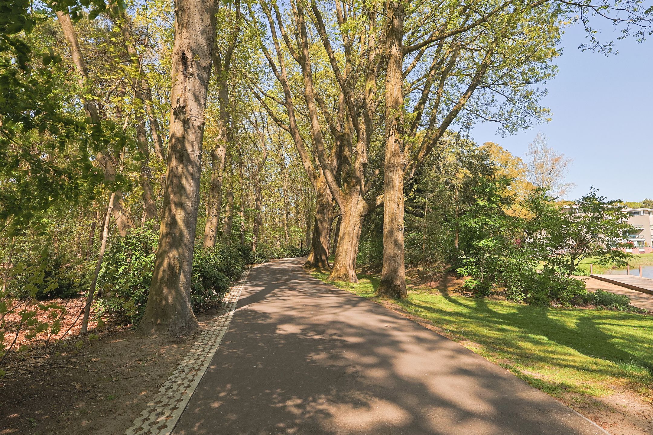 Photo 42 of Molenwijkseweg 64