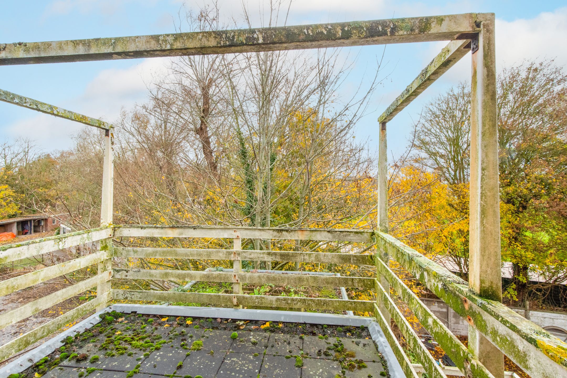 Foto 27 van Regulierslaan 29