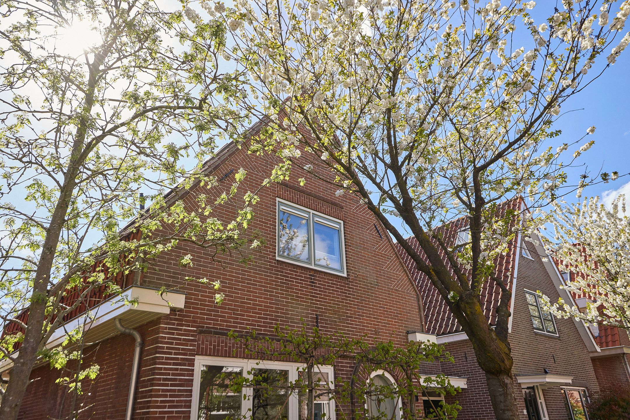 Foto 9 van Bernard Nieuwentijtstraat 12