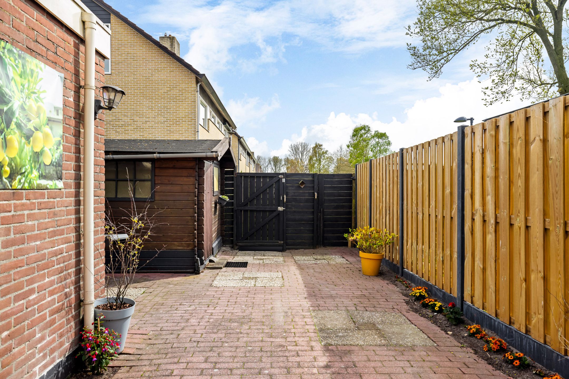 Foto 21 van Zwette 90