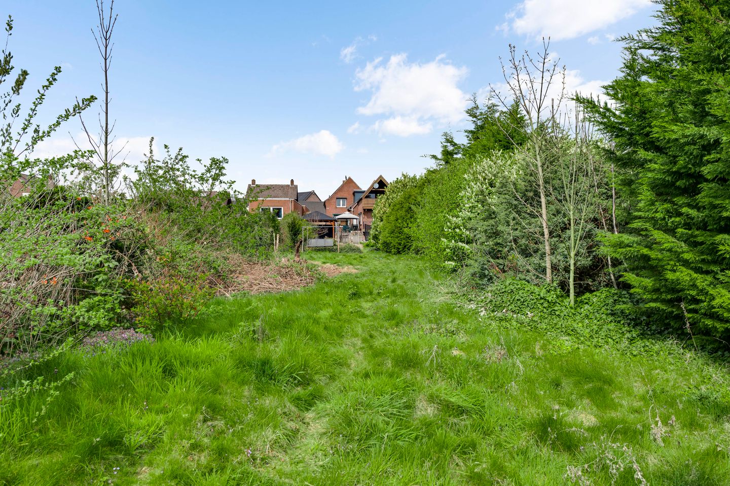 Photo 49 of Hammerstraat 1