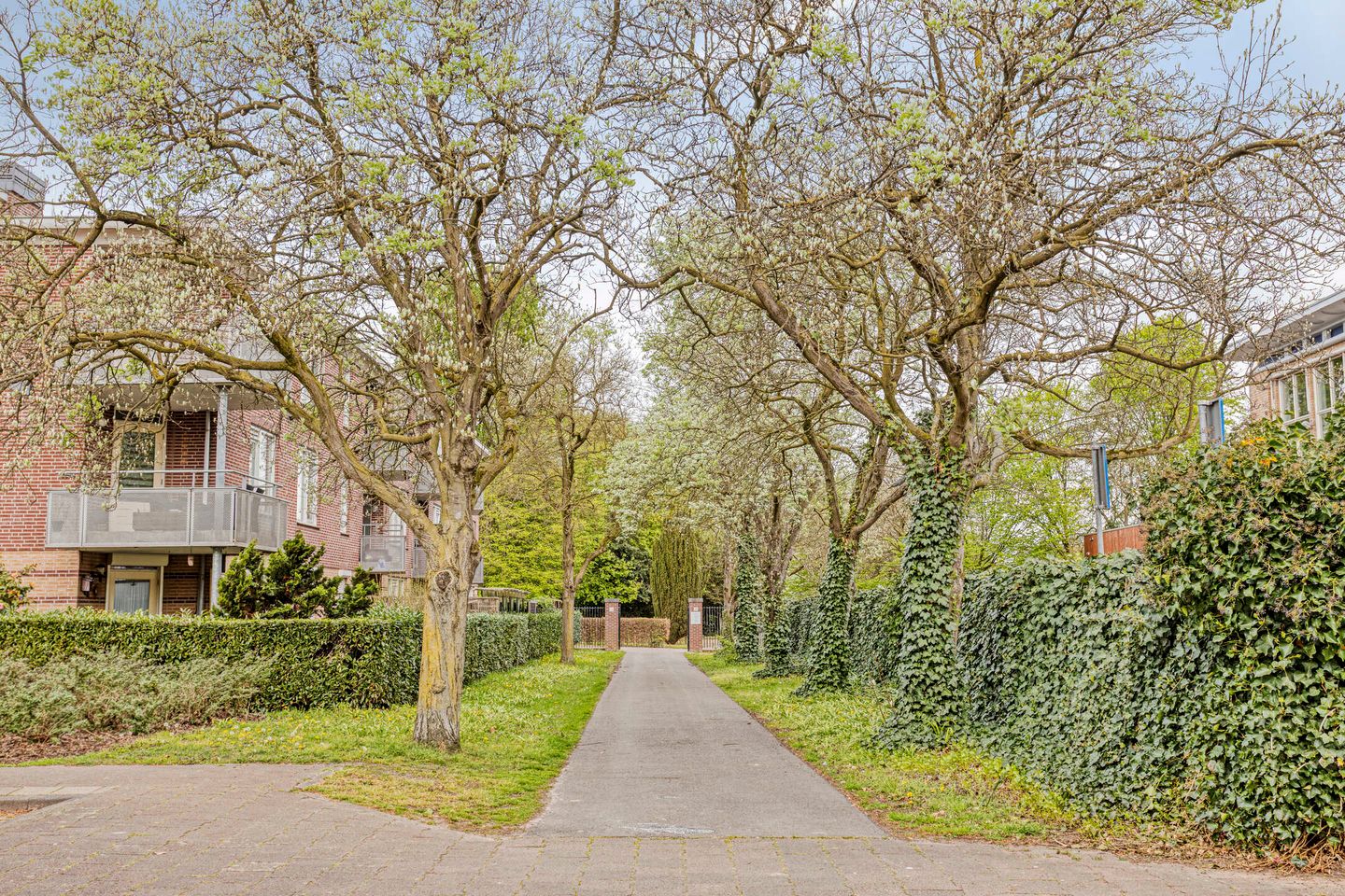 Foto 40 van Leeuwerikstraat 27