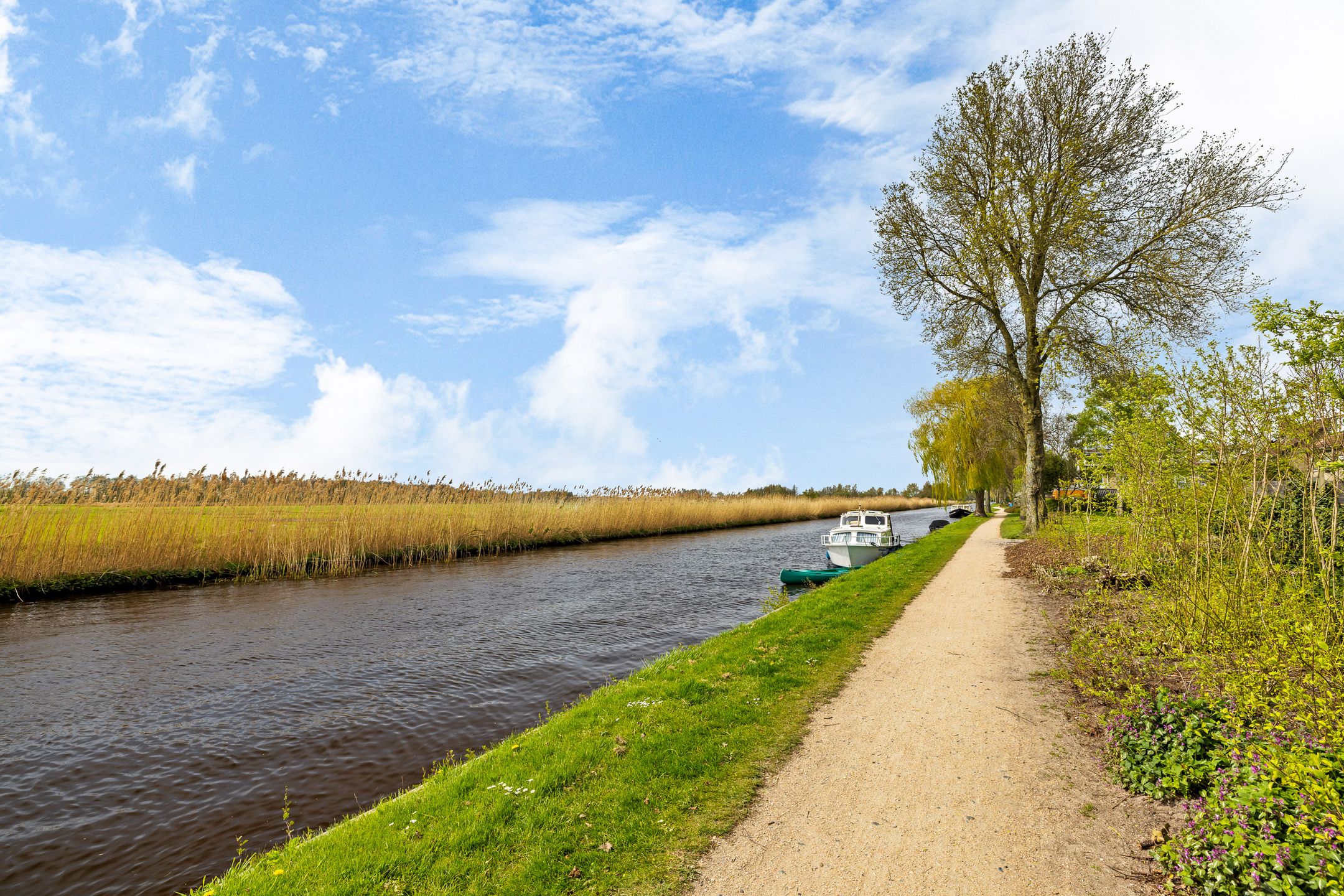 Foto 3 van Zwette 90