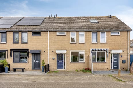 undefined main image