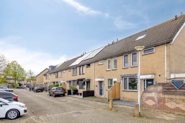 Foto 2 van Marmot 23