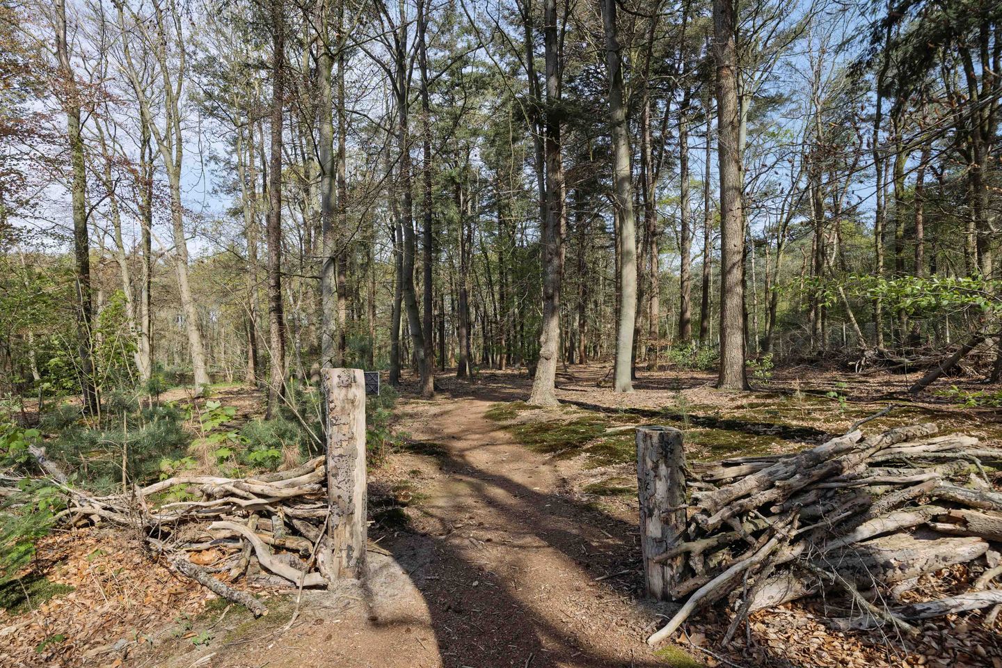 Photo 40 of Paterslaan 44