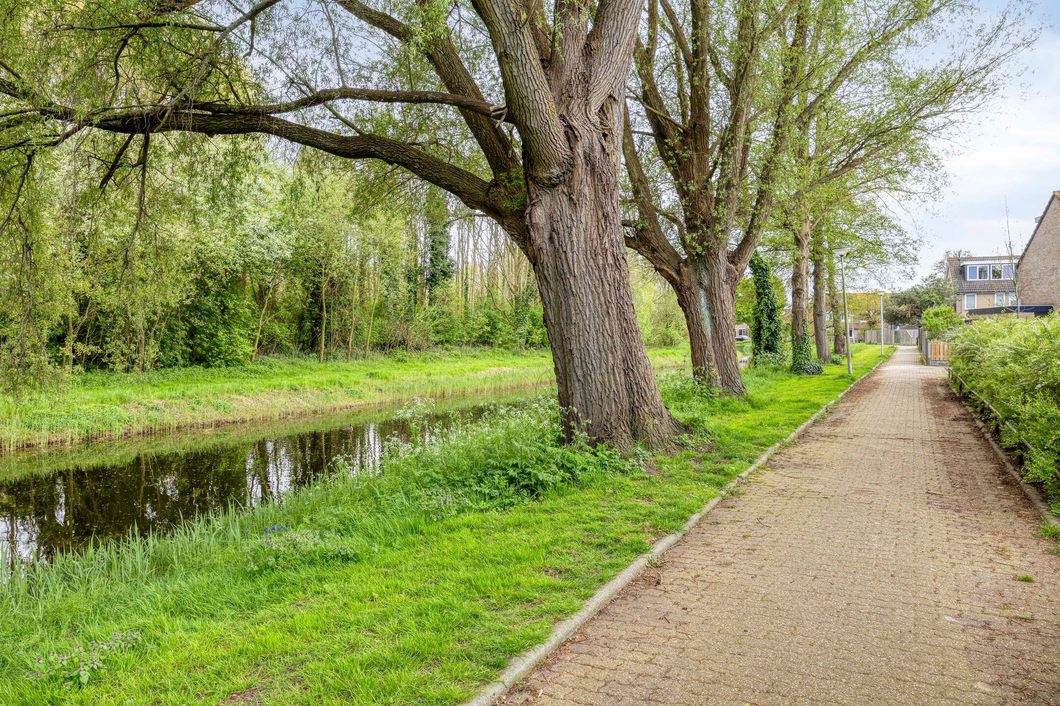 Foto 45 van Marmot 23