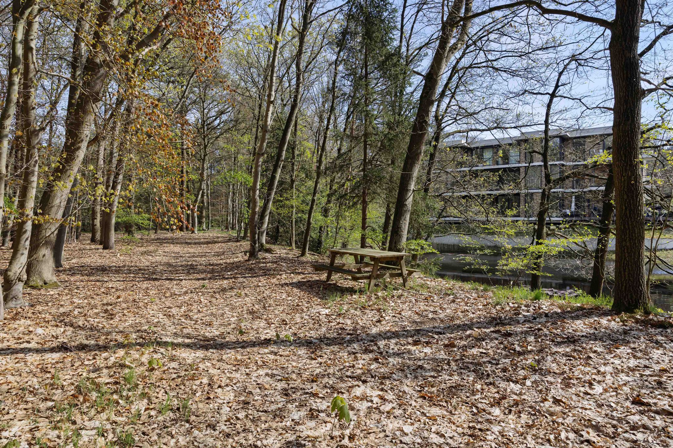 Photo 39 of Paterslaan 44