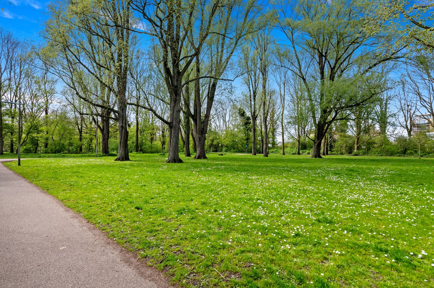 Foto 44 van Parkzoom 247