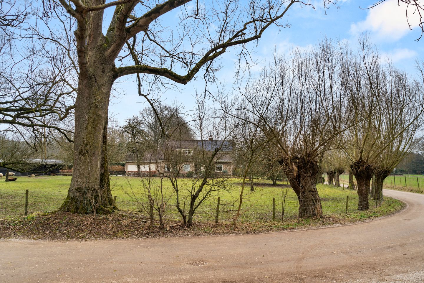 Foto 19 van Bosweg 1