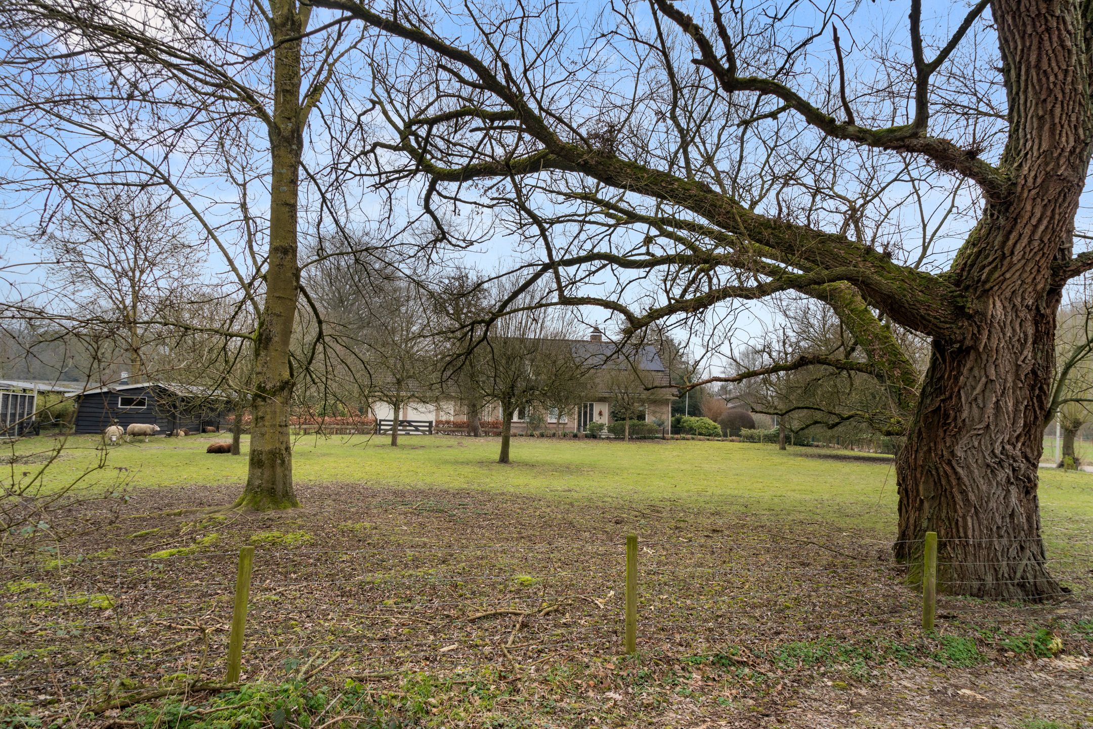 Foto 21 van Bosweg 1