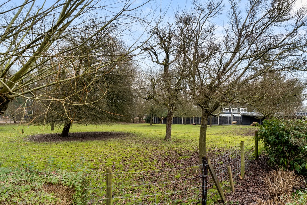 Foto 22 van Bosweg 1