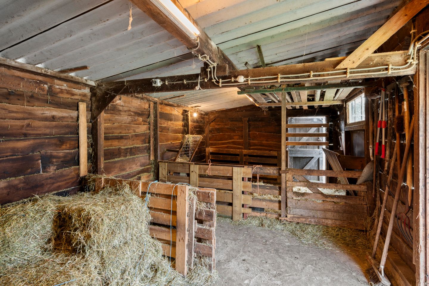 Foto 40 van Bosweg 1