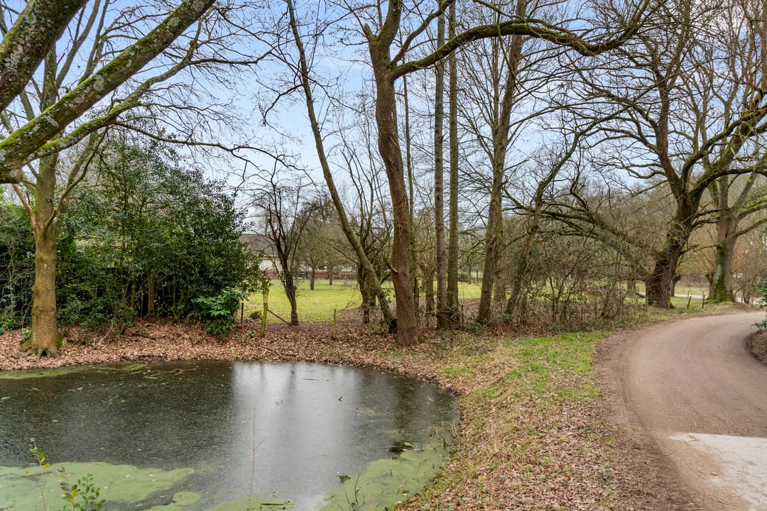 Foto 23 van Bosweg 1