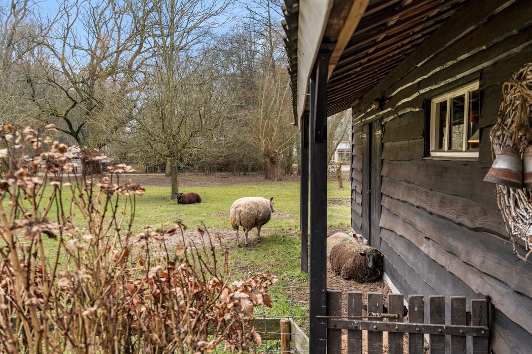 Foto 37 van Bosweg 1