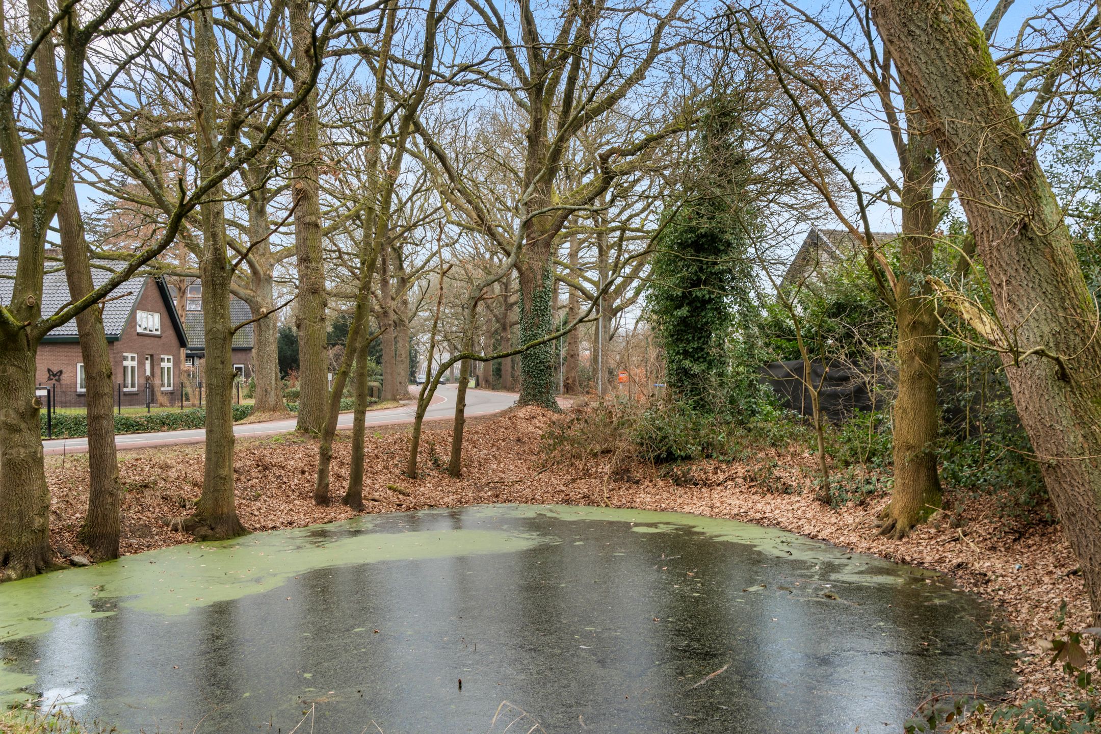 Foto 24 van Bosweg 1