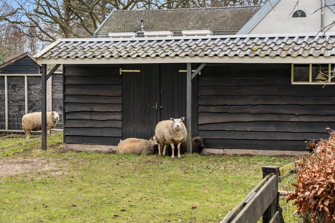 Foto 38 van Bosweg 1