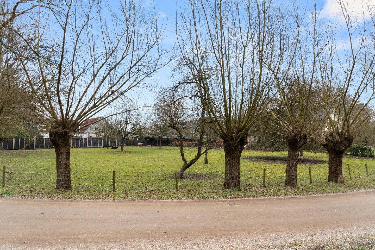 Foto 20 van Bosweg 1