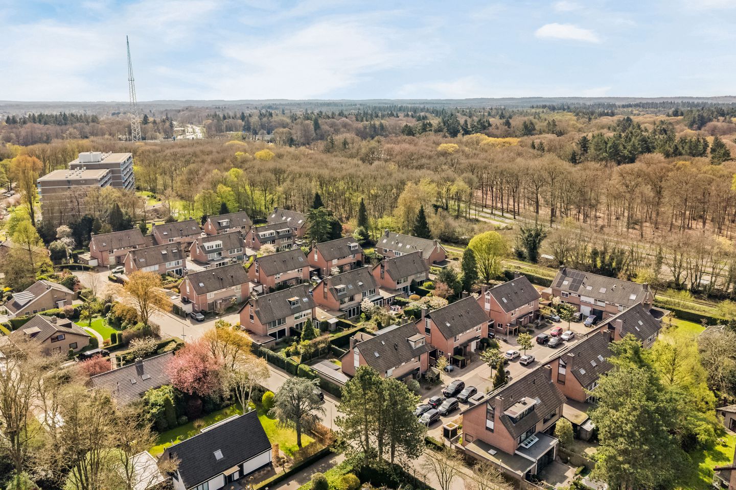 Foto 50 van Diamantweg 43