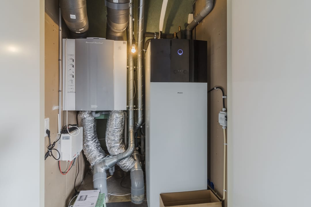 Foto 32 van Kalverdans 28