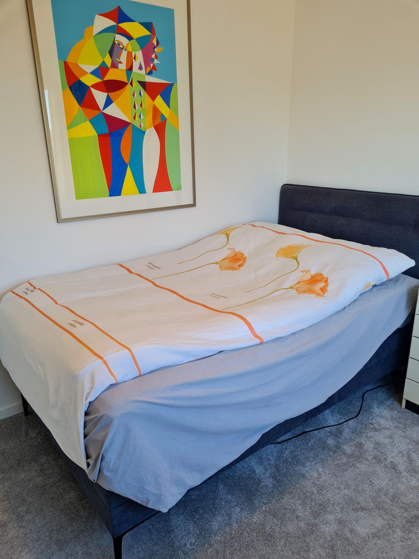 Foto 34 van Mr Troelstrastraat 54