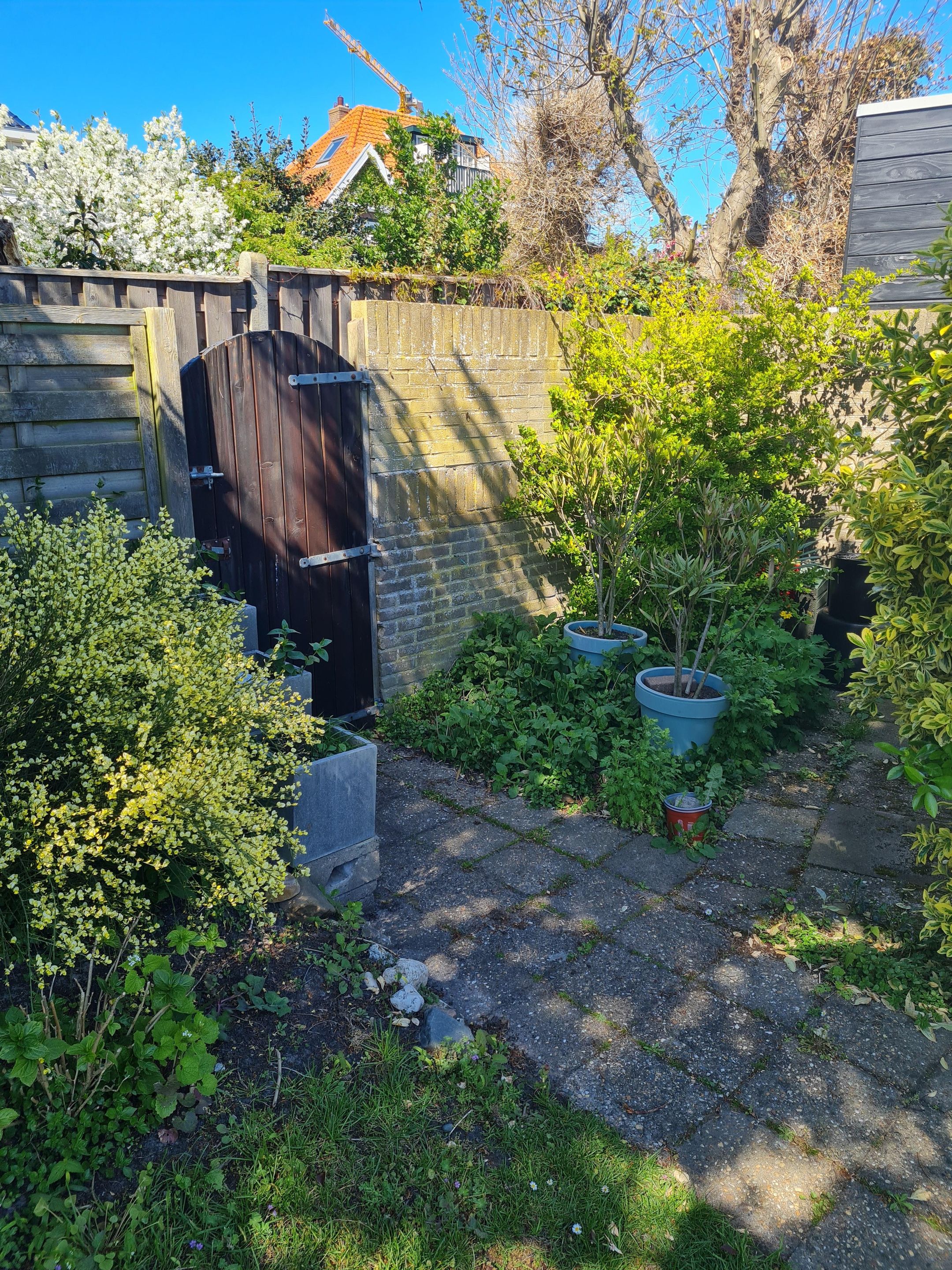 Foto 18 van Mr Troelstrastraat 54