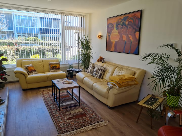 Foto 4 van Mr Troelstrastraat 54