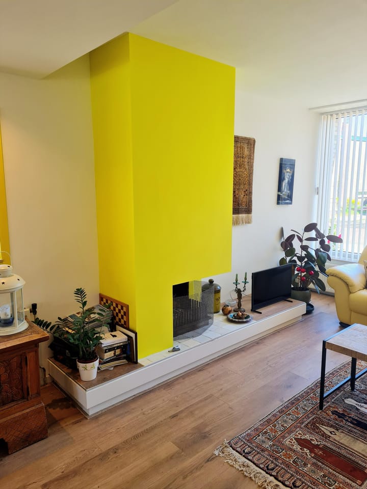 Foto 3 van Mr Troelstrastraat 54