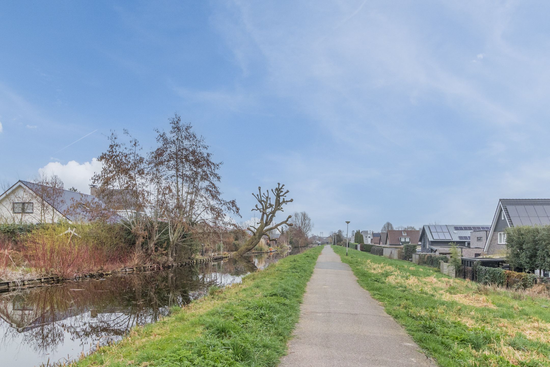 Foto 45 van Kalverdans 28